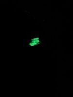 Glow in the Dark Lip Essence Silicone Holder KeyChain (only keycahin) - Image 2