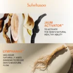 Sulwhasoo First Care Activating Serum VI 15ml - Image 2