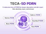 Centellian24 Expert Madeca CREAM Active Renew PDRN 50mL - Image 3