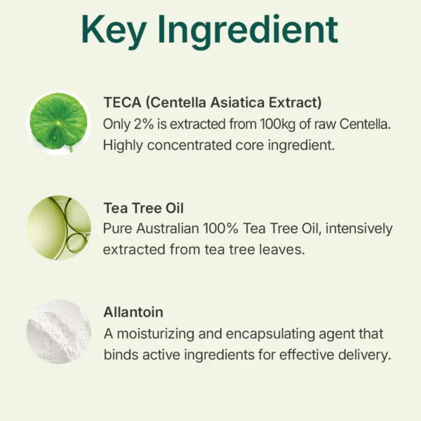 Centellian24 Madeca Powder Tea Tree AC - Image 2