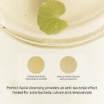 HeveBlue Salmon Caring Centella Bubble Cleanser - Image 4