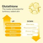 Numbuzin No5 Glutathione Vitamin Toneup Sun Serum - Image 3