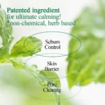 Pyunkang Yul Ultimate Calming Solution Cream - Image 4