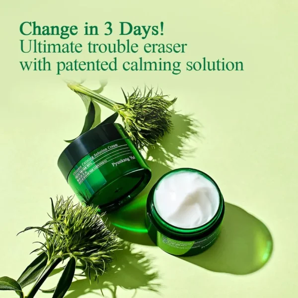 Pyunkang Yul Ultimate Calming Solution Cream - Image 3