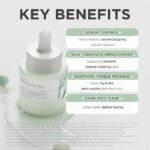 skin1004 Madagascar Centella Azelaic Acid 10 Ampoule - Image 3